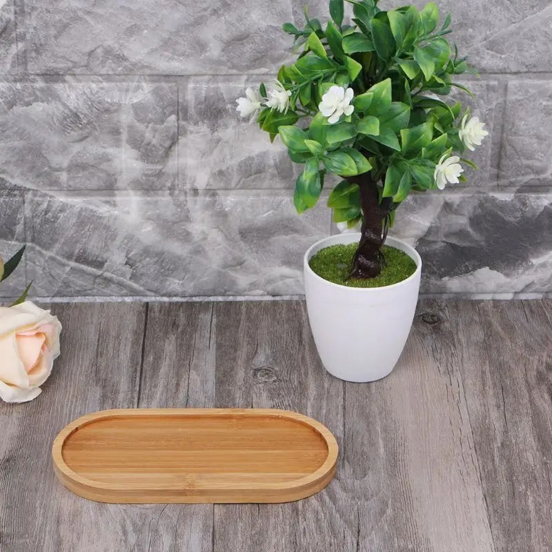 Oval bamboo plate with a smooth natural beige finish – shown in a room setting (2)