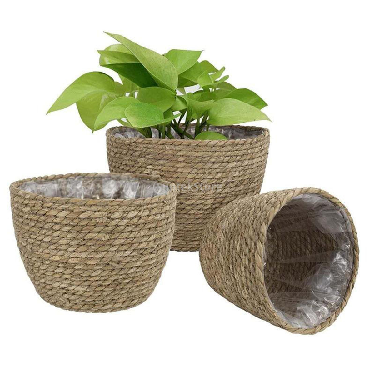 Hand-braided natural rattan plant pot cover – multiple views (3)