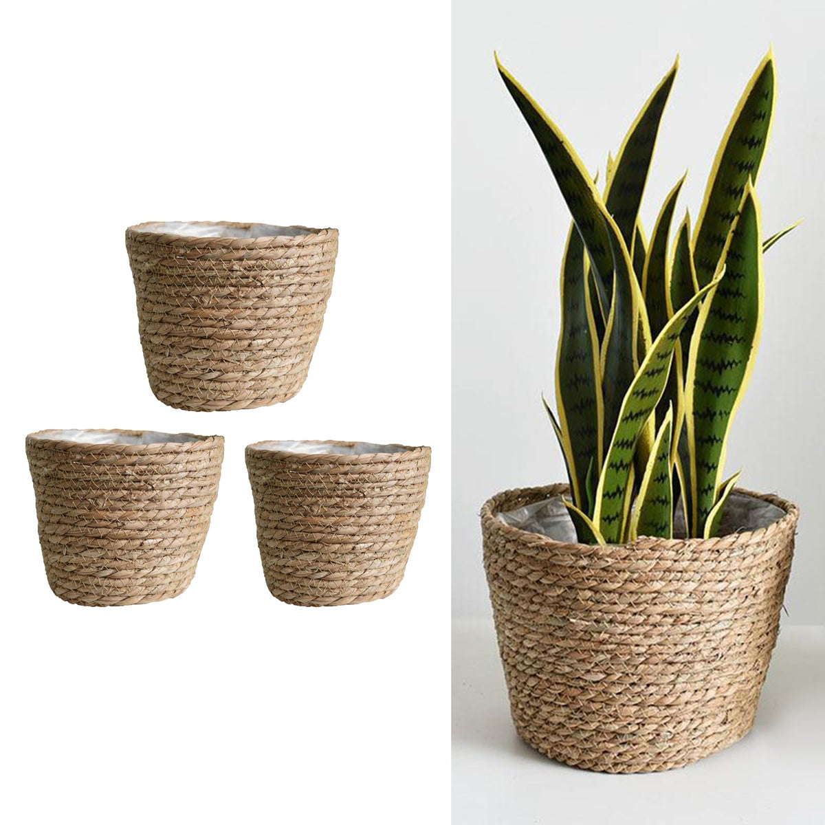 Hand-braided natural rattan plant pot cover – multiple views (4)