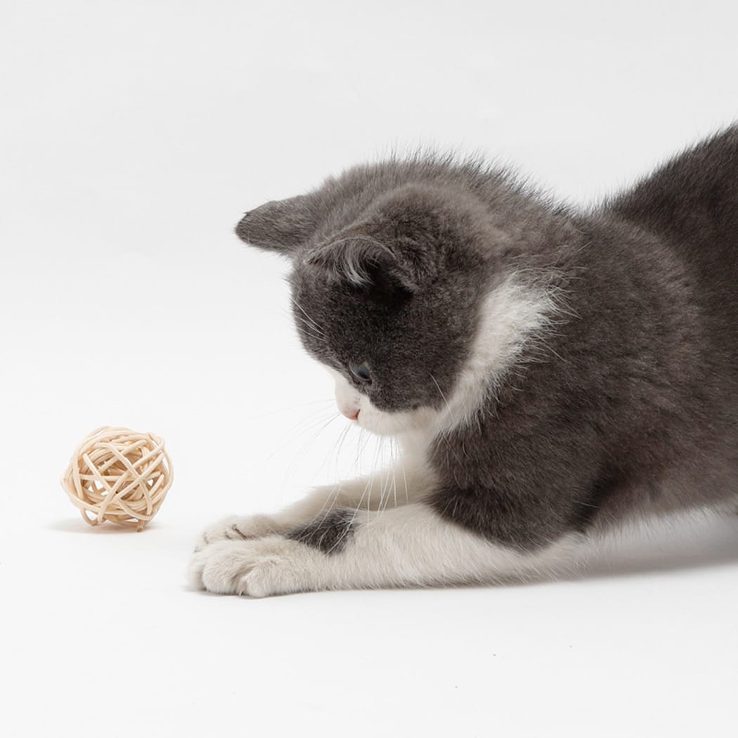 Two hand-braided rattan cat balls – shown in a room setting