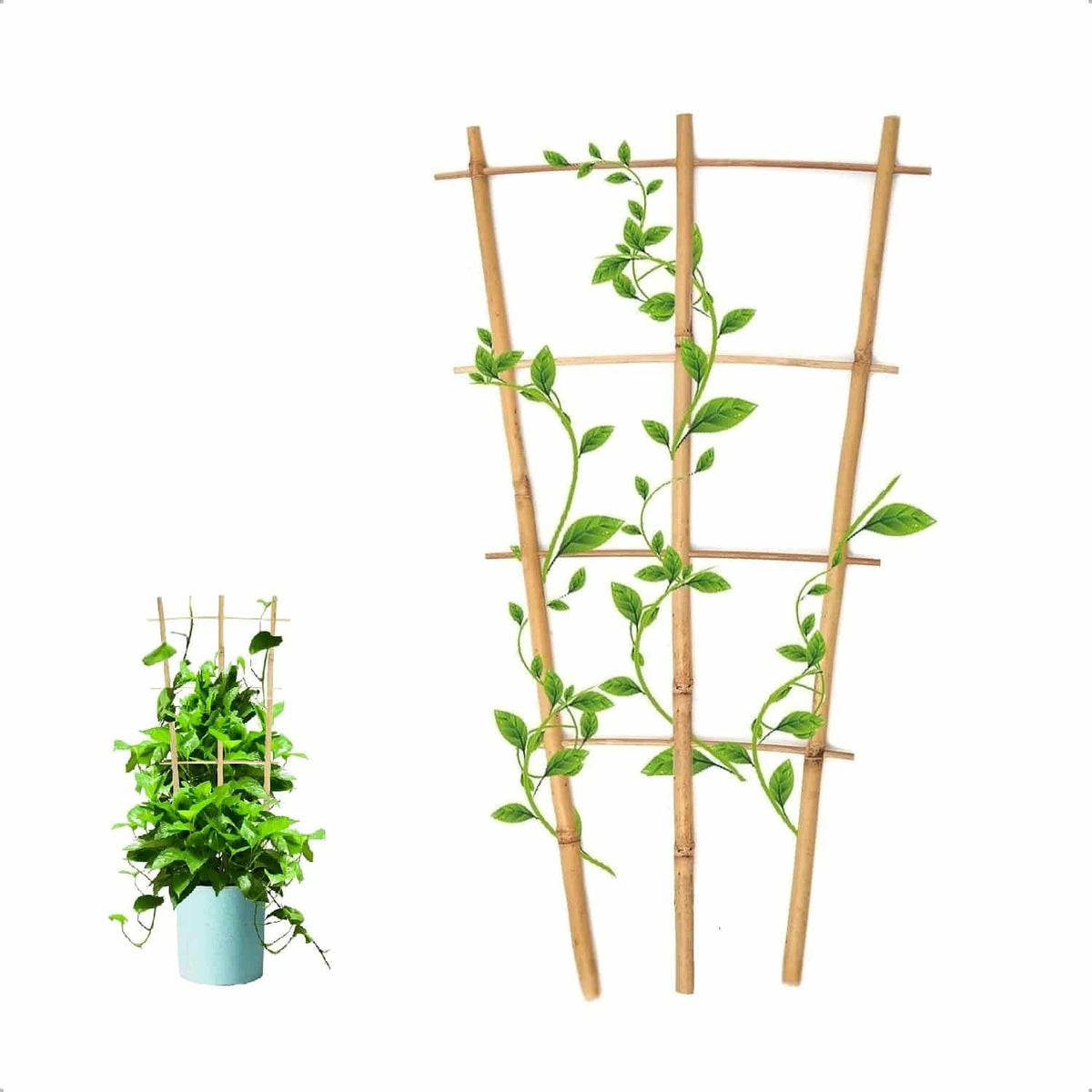 Bamboo ladder plant trellis supporting a climbing plant – another view (2)