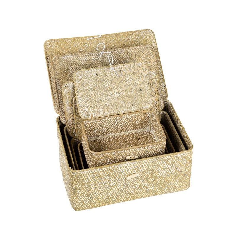 Multifunction white rattan trunk with a tight braid