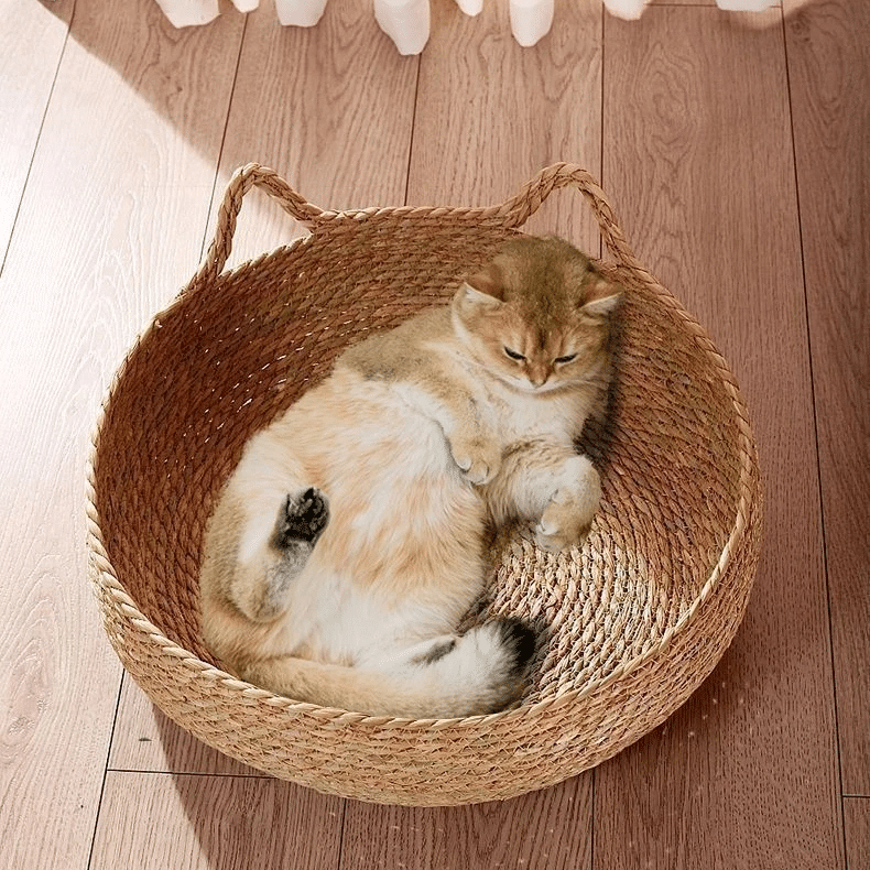 Breathable paper rope cat bed basket on a bamboo frame – shown in a room setting