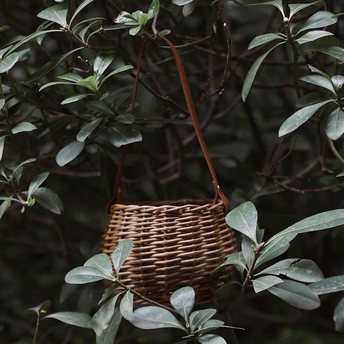 Round rattan and wicker plant basket – shown outdoors