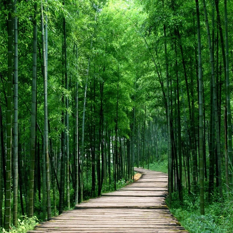 3D trompe-l'oeil bamboo forest paper wallpaper – close-up detail