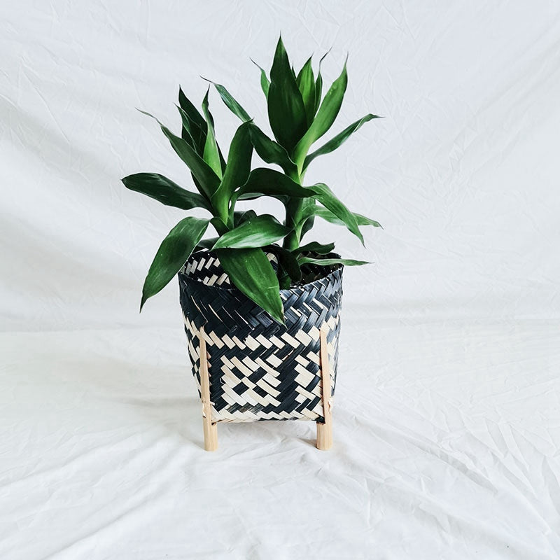 Slender two-tone black and natural rattan planter – another view (2)