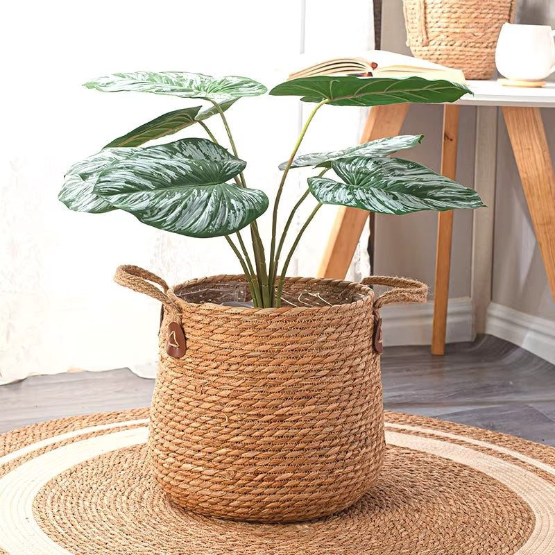Spacious hand-braided rattan planter for large plants – shown in a room setting