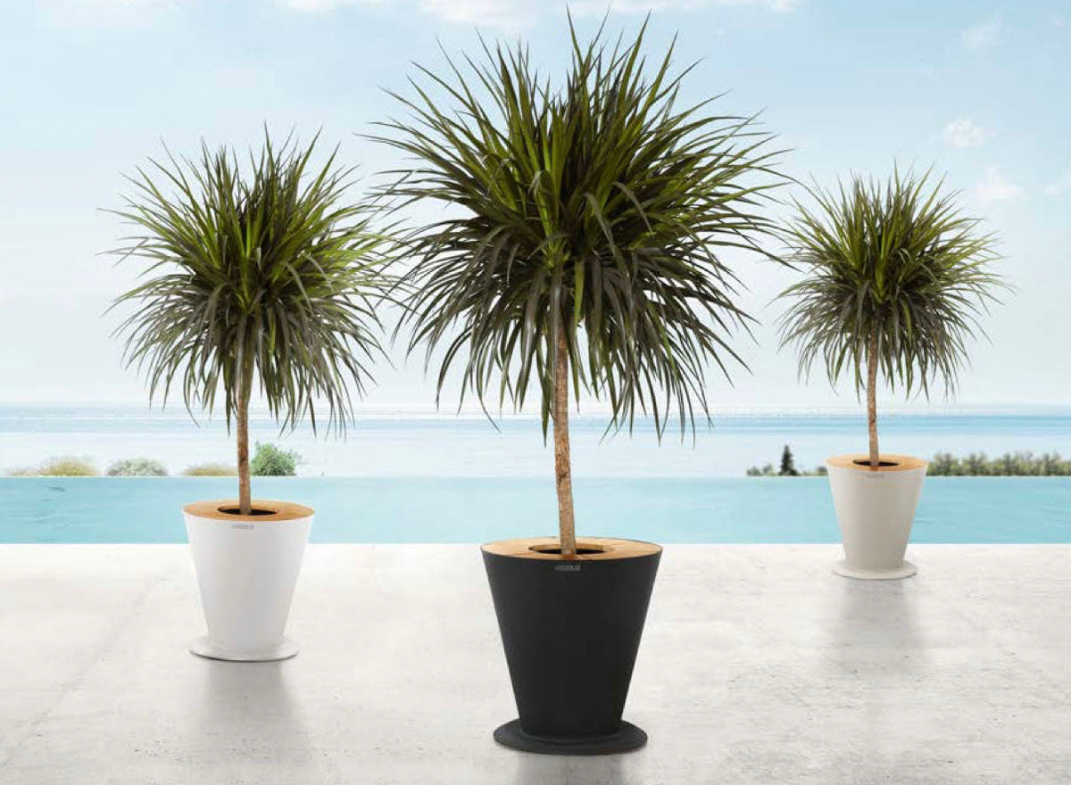 Cofy aluminum and teak planter – shown outdoors (2)