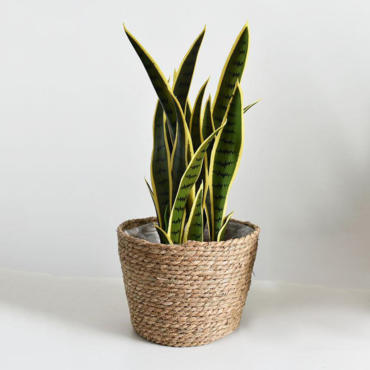Hand-braided natural rattan plant pot cover – S variant