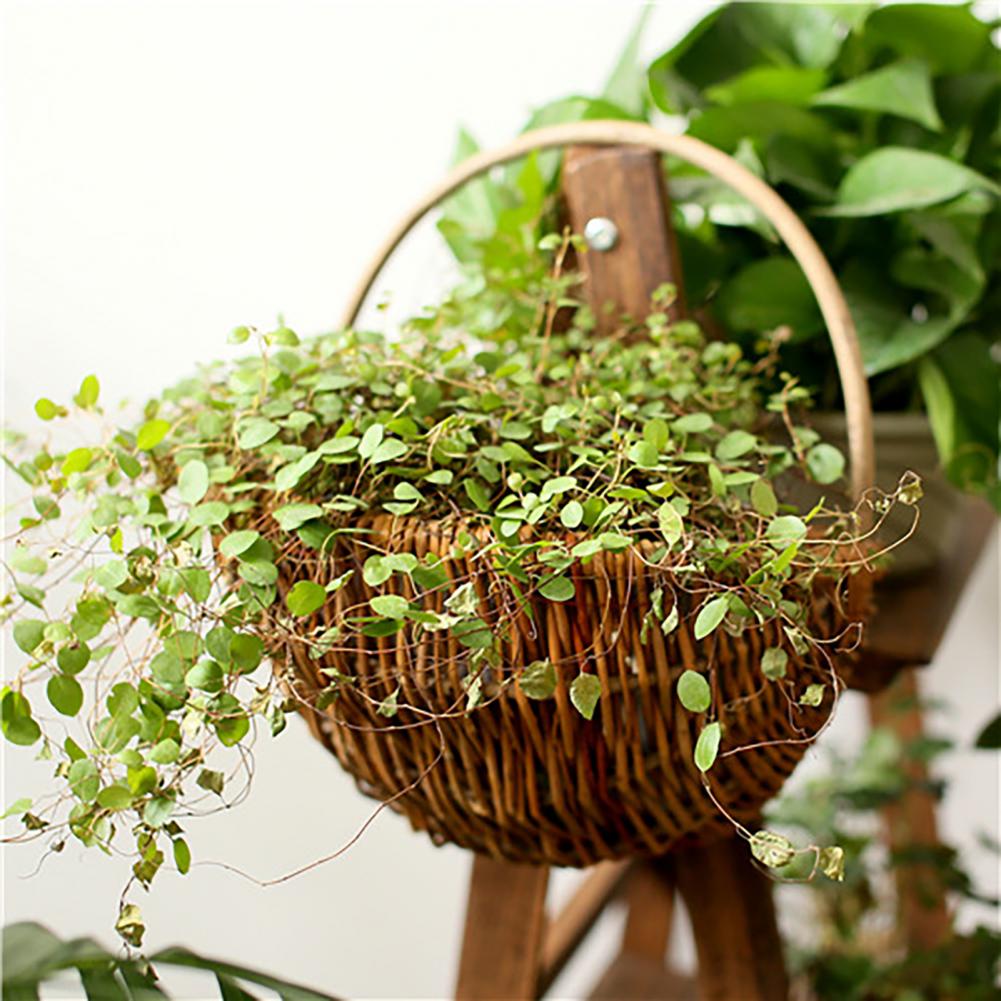 Handwoven natural rattan hanging plant basket – shown outdoors (4)