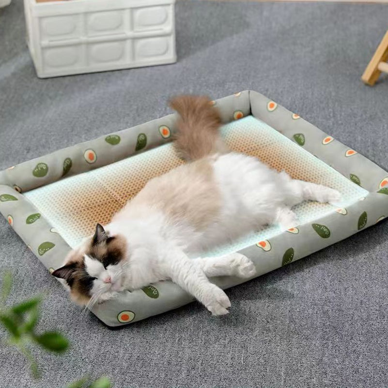 Airy summer rattan cat bed with a soft cushion – shown in a room setting (3)