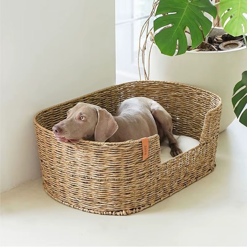 Spacious deep wicker dog bed with tightly woven walls – shown in a room setting