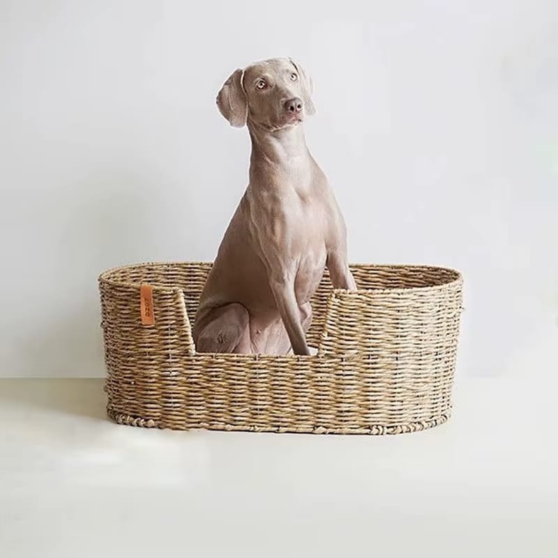 Spacious deep wicker dog bed with tightly woven walls – shown in a room setting (2)