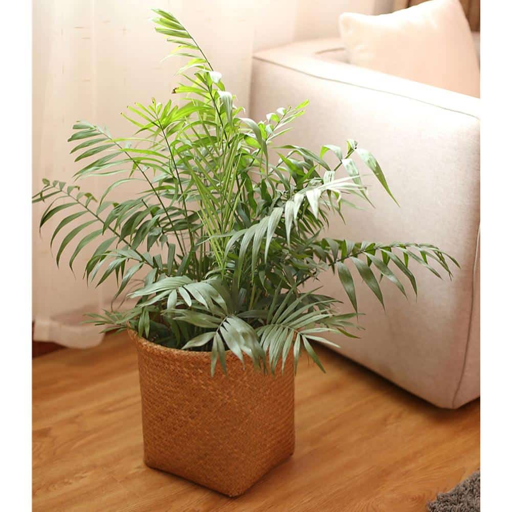 Handwoven rattan storage basket with crossed strands – shown in a room setting (2)