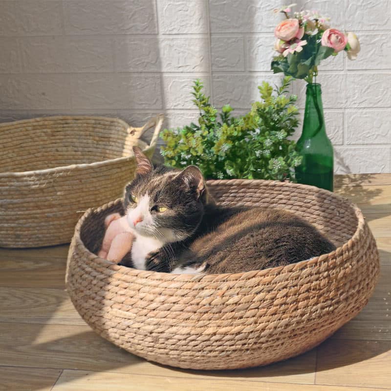 Handwoven natural rattan blanket basket – shown in a room setting