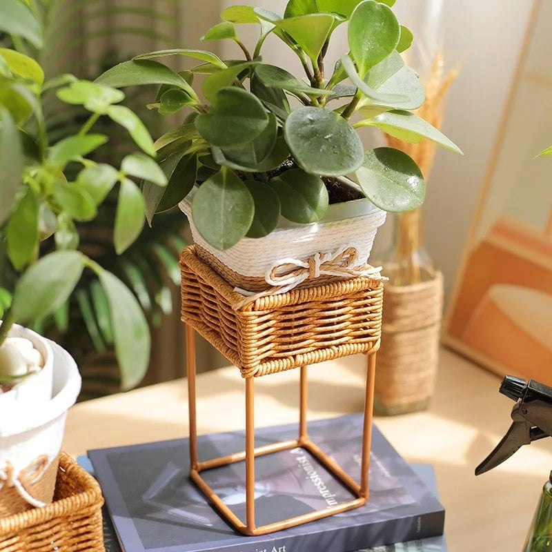 Footed square rattan planter – shown in a room setting